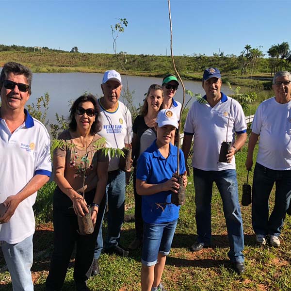 Área de preservação ambiente do Grande Lago tem plantio de árvores nativas