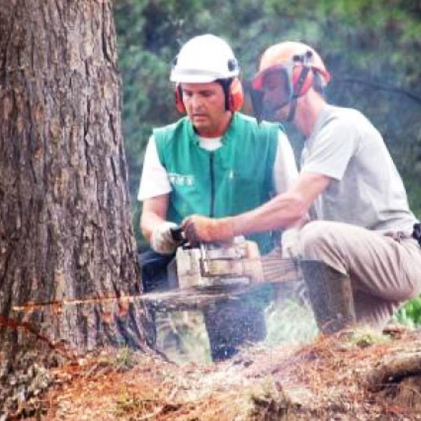 Agroterenas oferece curso de Operação e Manutenção de Motosserra