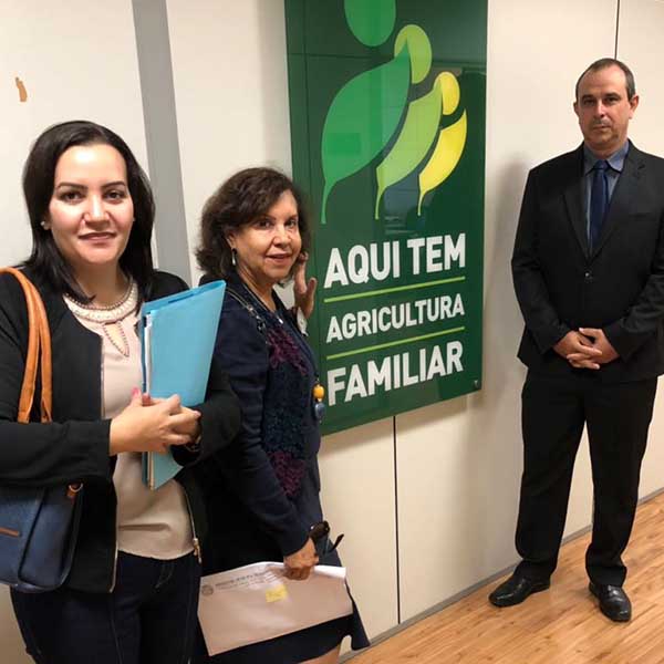 Paraguaçu poderá ter matadouro regional de ovinos, suínos e bovinos