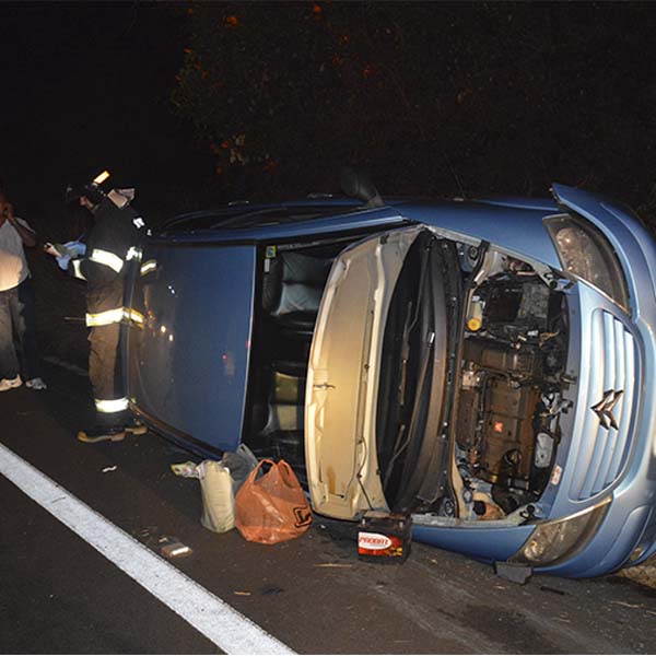 Carro atropela boi morto sobre a rodovia Paraguaçu/Assis