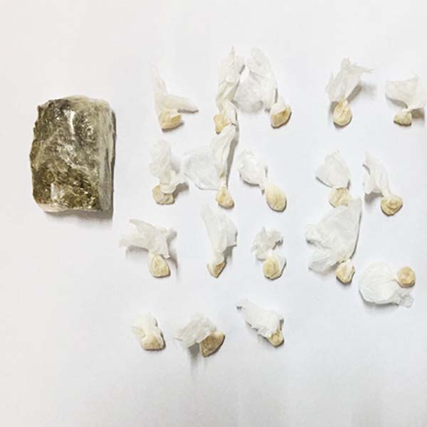 Conhecido nos meios policiais, adolescente é apreendido com porções de crack e maconha em Paraguaçu