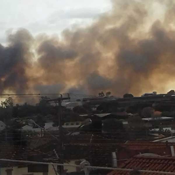 Corpo de Bombeiros leva 3h para controlar incêndio de grandes proporções em canavial em Rancharia