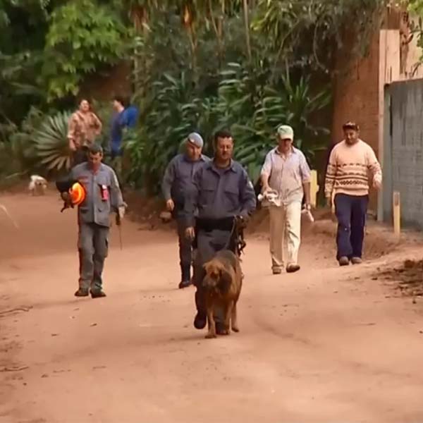 Servente de pedreiro é resgatado após seis horas perdido em mata de Assis