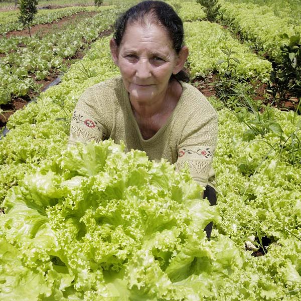 Prefeitura comemora o Dia do Agricultor Familiar neste dia 25 de julho