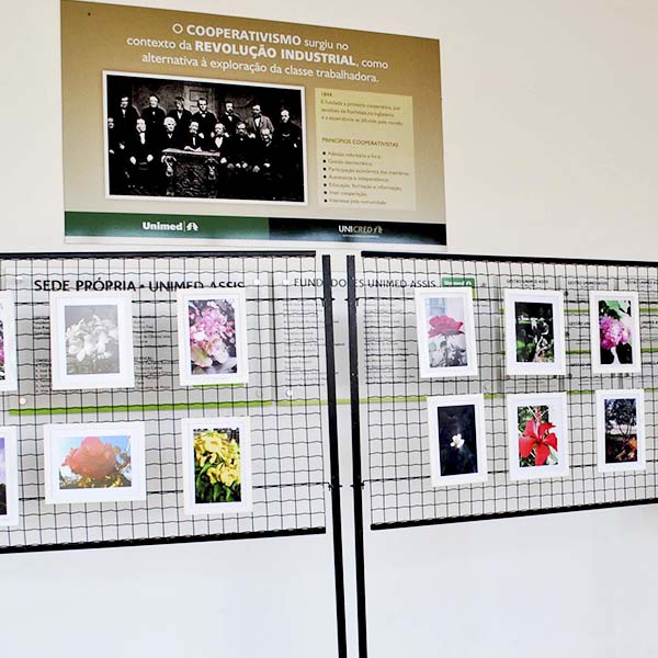 Unimed Assis recebe exposição da Apae: 'Um Olhar Especial'