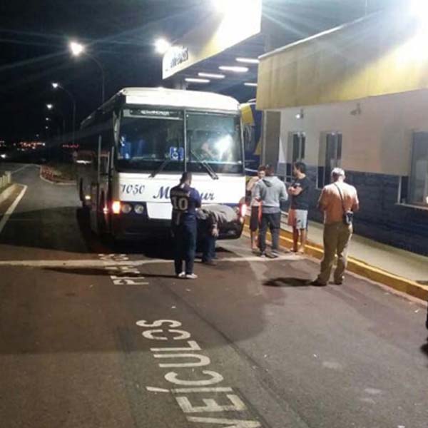 Ônibus é assaltado por quadrilha armada em rodovia da região
