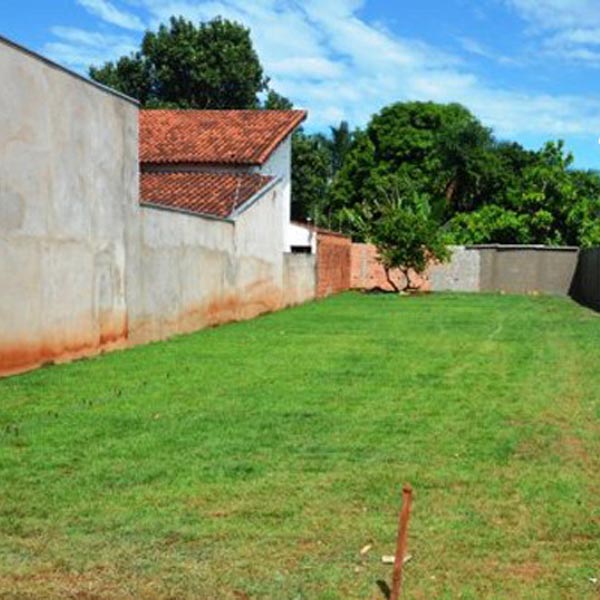 Câmara aprova projeto 'Cidade com Grama, sem Mato, sem Lama'