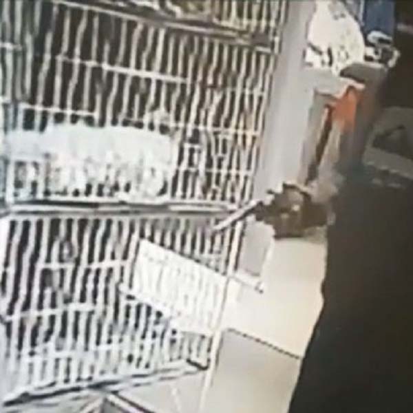 Ladrão armado e com capacete assalta pet-shop em 30 segundos em Assis; vídeo