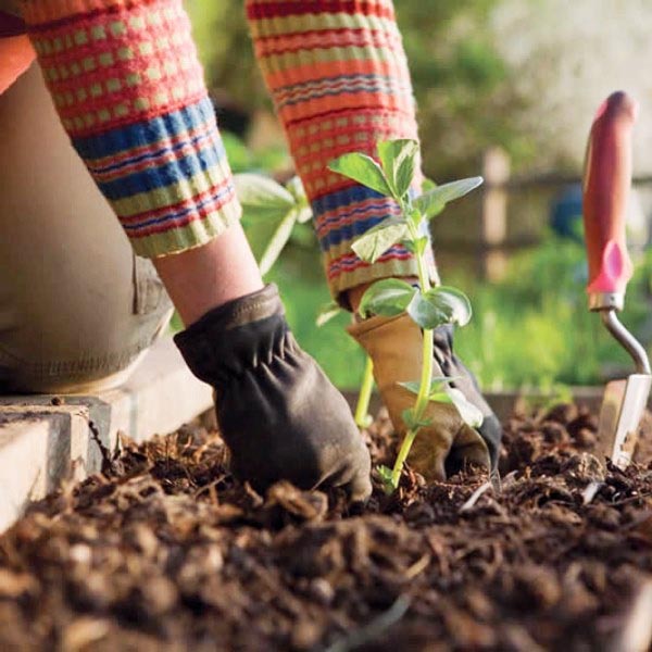 Encerram amanhã as inscrições para o curso gratuito de 'Jardineiro - Implantação do Jardim'