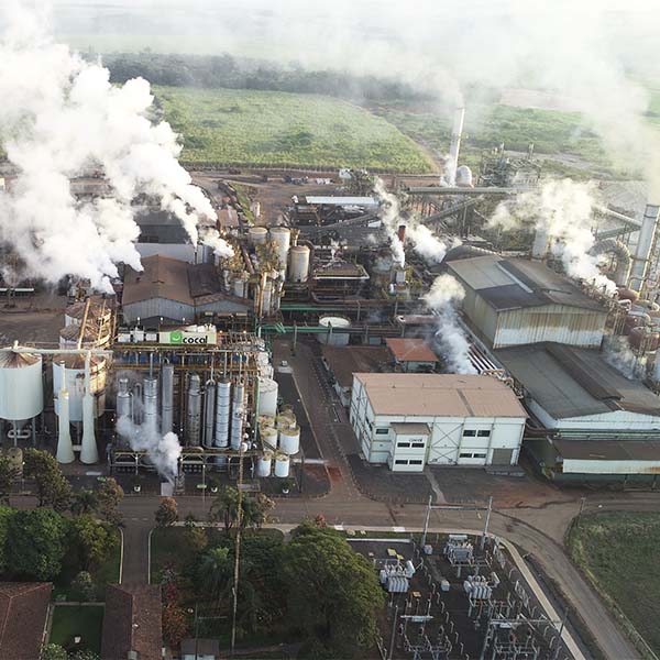 Cocal acumula 100 milhões de toneladas na moagem