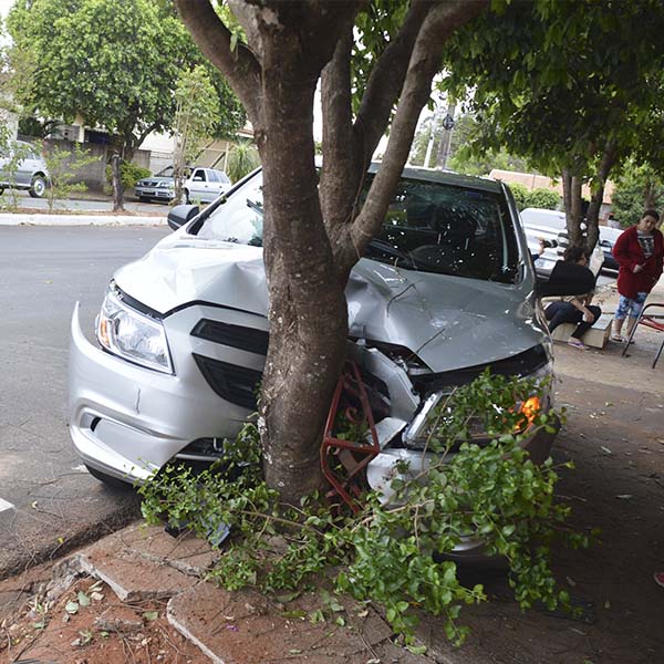 Carro atravessa canteiro central e colide contra árvore após motorista se assustar com cachorro