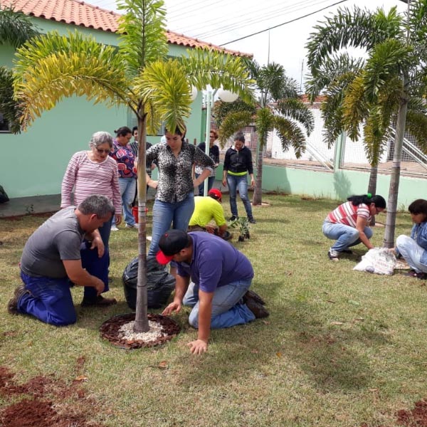 Lar dos Idosos é presenteado com jardim criado pelo curso de 'Jardinagem' do Sindicato