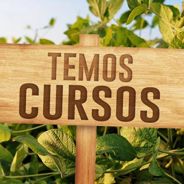 Quase 60 vagas são abertas para cursos gratuitos no Sindicato Rural Patronal