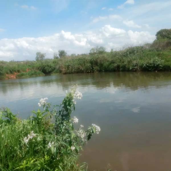 Criança de 11 anos morre afogada em represa em Rancharia