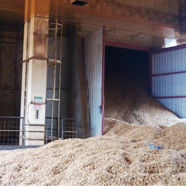 Homem morre soterrado em silo de amendoim em Tupã