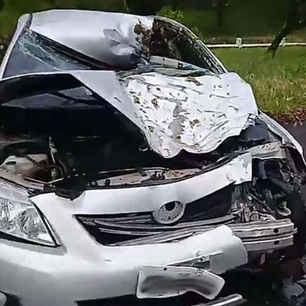 Casal sofre ferimentos após atropelar cavalo solto em rodovia em Assis