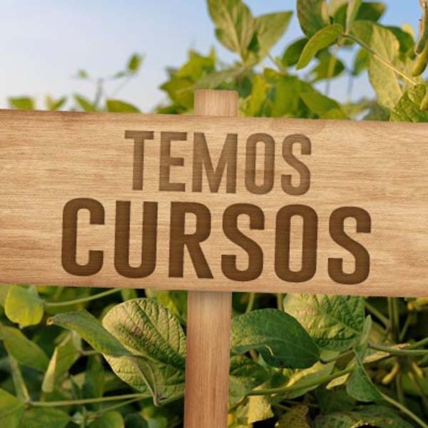 Vários cursos gratuitos estão com inscrições abertas no Sindicato Rural Patronal
