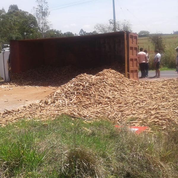 Caminhão 'perde' freio, atravessa trevo e derruba carga de mandioca em rodovia de Paraguaçu