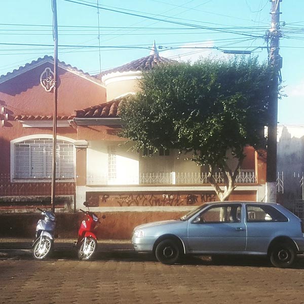 Pitangueira com mais de 35 anos é cortada na Av. Paraguaçu e causa revolta da população