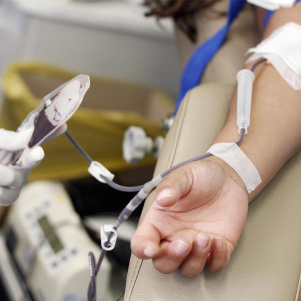 Família pede doação de sangue para a senhora Tejane Matarezzo