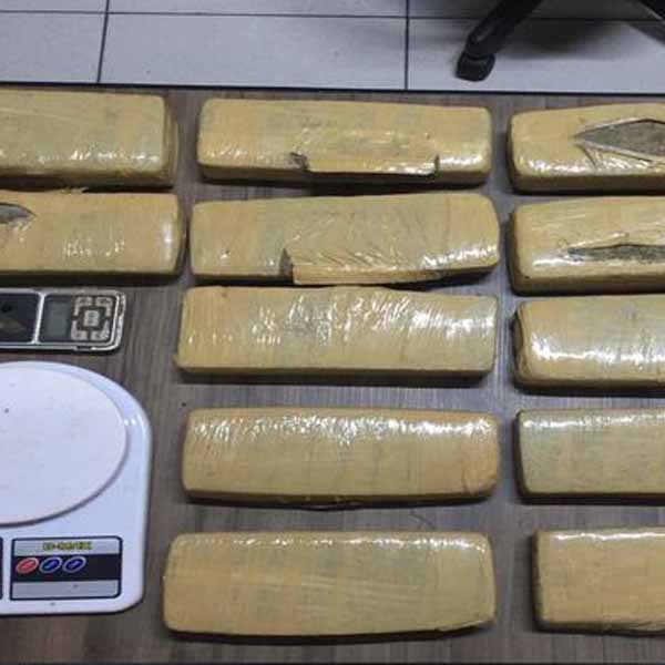 5.298 kg de entorpecente são encontrados em propriedades de Usina da região
