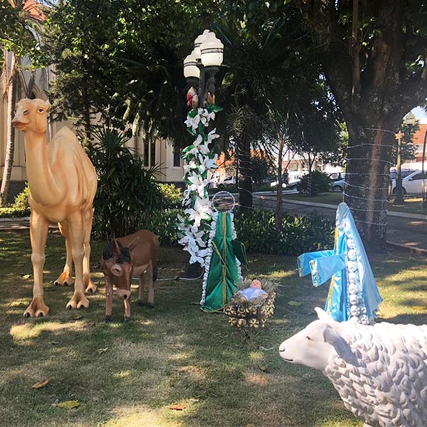 Natal Espetacular enfeita o Natal de Paraguaçu