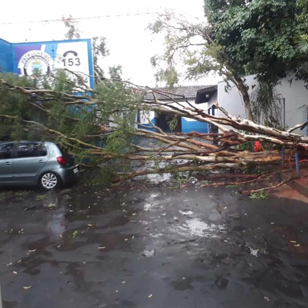 Vendaval derruba árvores e causa desabamento de estrutura de elevador, em Rancharia