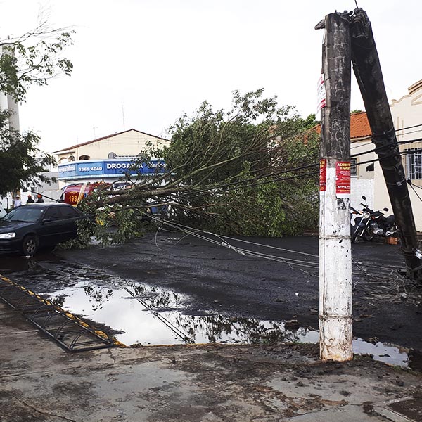 Ventania derruba árvore, quebra poste e danifica veículos em frente à Santa Casa