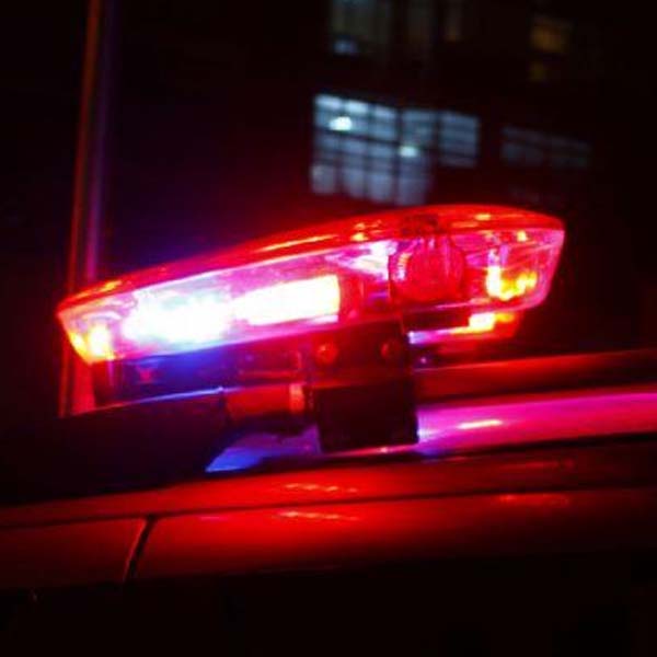 Cachorra é encontrada acorrentada e em estado de decomposição em Assis