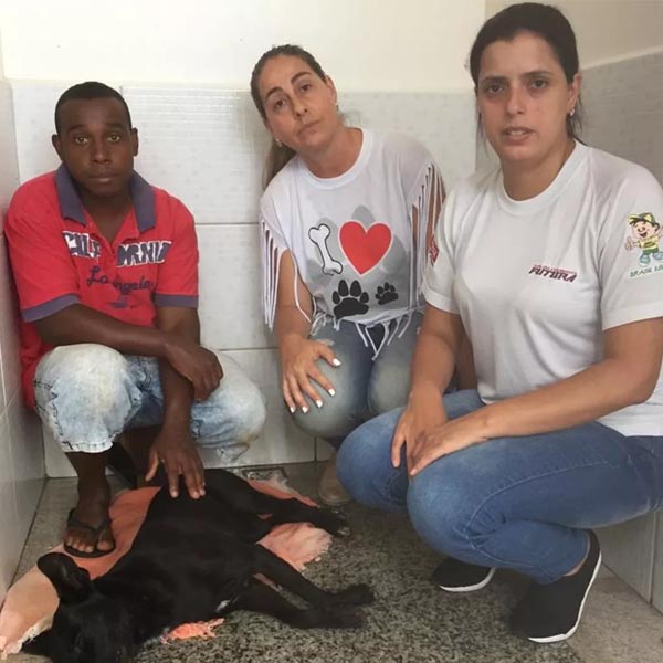Cachorros são encontrados com órgãos genitais mutilados em Tupã