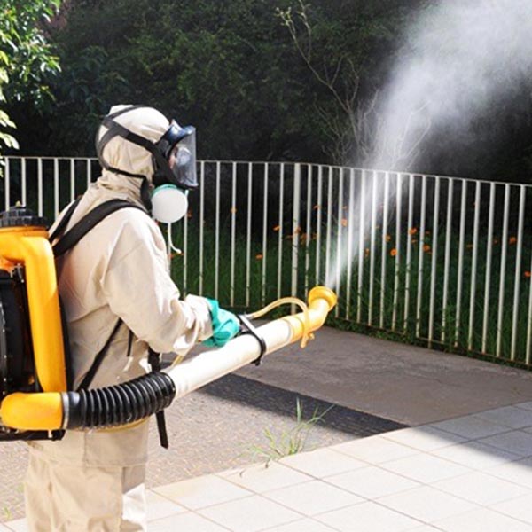 Prefeitura contrata 20 pessoas para intensificar ações de combate à dengue