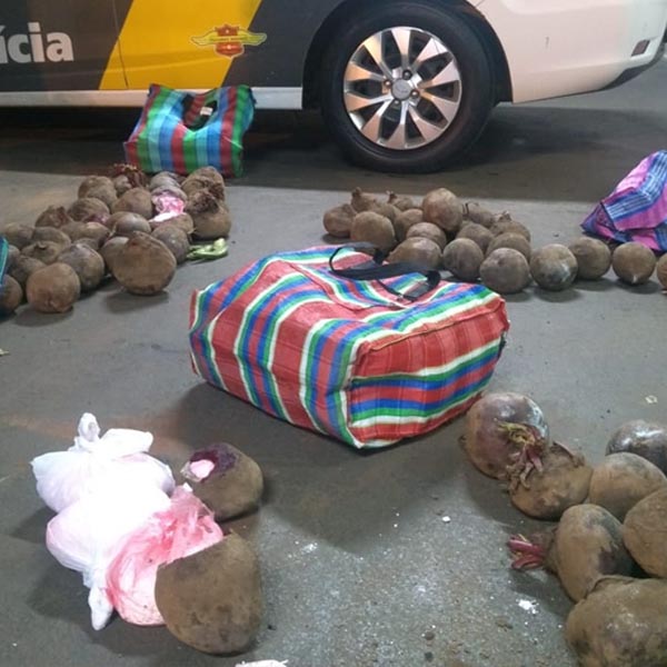 Cocaína é encontrada escondida dentro de beterrabas em ônibus