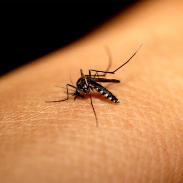 Secretaria de Saúde confirma primeira morte por dengue em Tupã