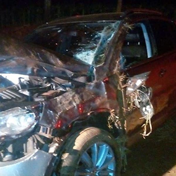 Motorista capota veículo entre Assis e Cândido Mota
