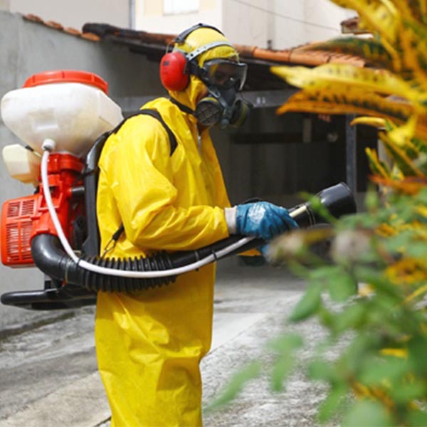 DENGUE: Número de casos positivos nem sempre corresponde à realidade