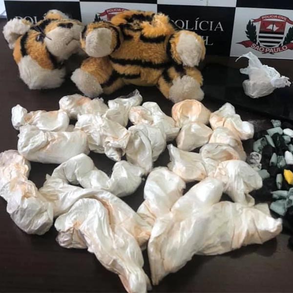 Polícia apreende porções de drogas escondidas em tigre de pelúcia em Tupã