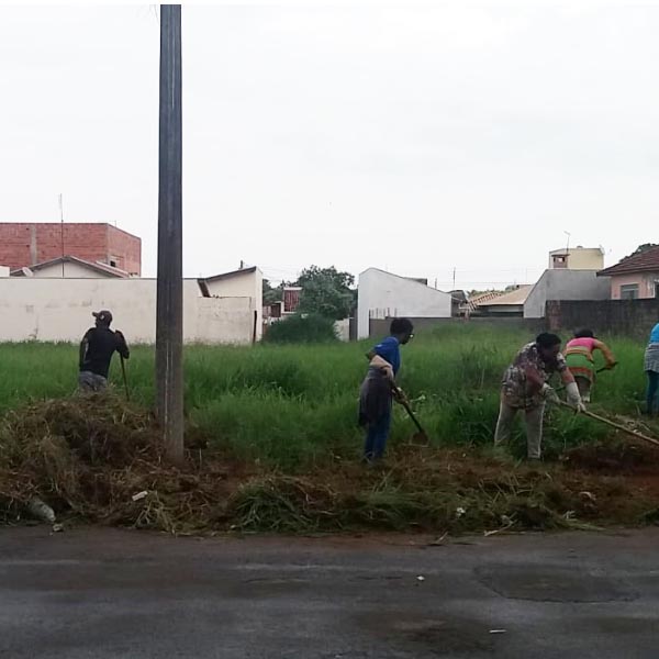 Proprietários notificados começam a limpar os terrenos baldios