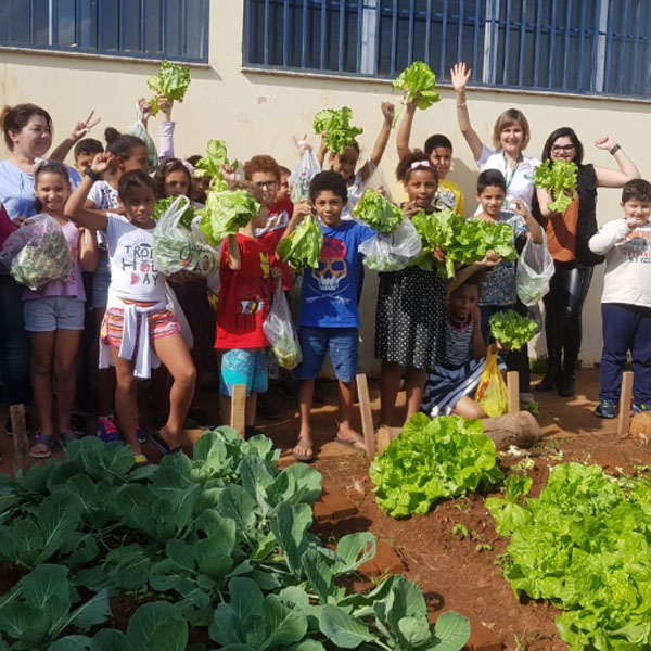 Alunos colhem hortaliças do projeto Escola Comunidade da Unimed Assis