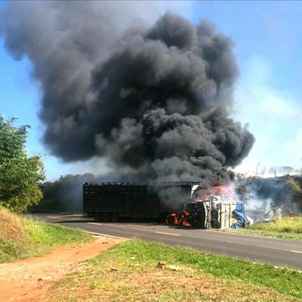 Após colisão frontal em rodovia, caminhões pegam fogo em Rancharia