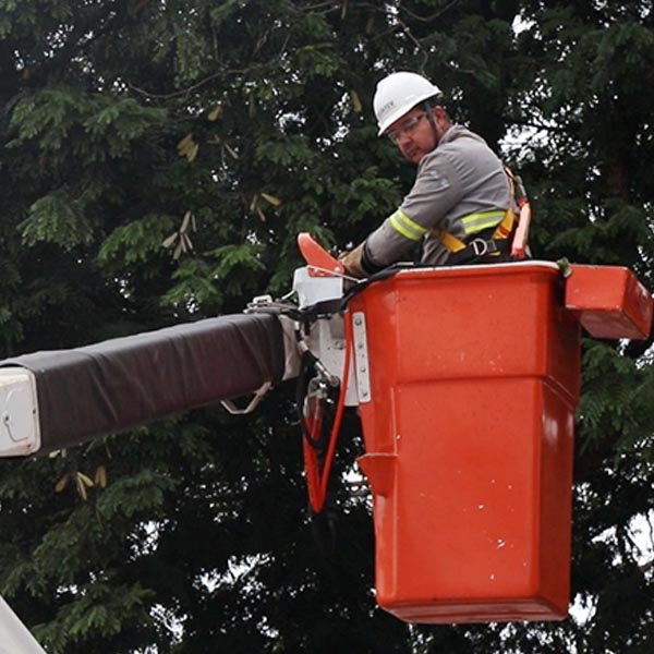 Iluminação pública de Paraguaçu recebe luminárias de led