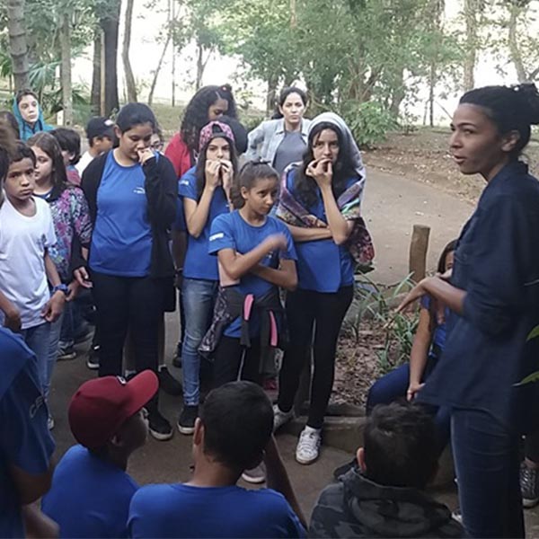Paraguaçu comemora Semana do Meio Ambiente com plantio de 1.000 mudas de árvores e muitas atividades