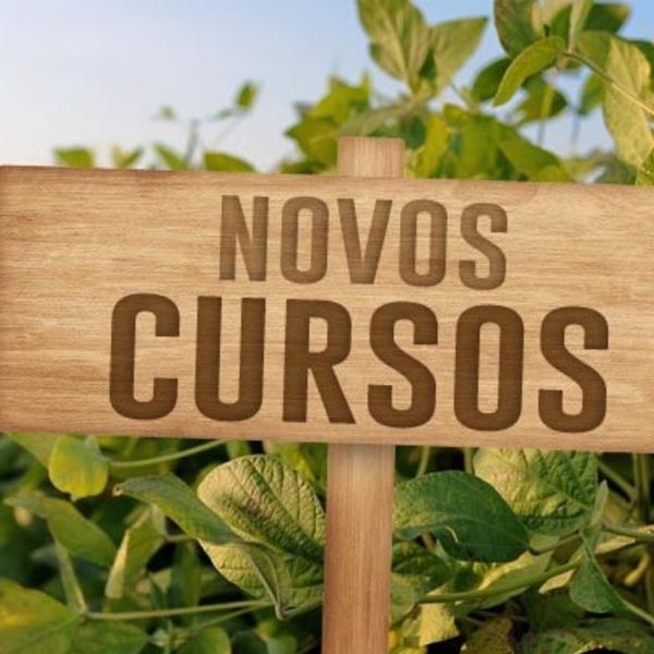 Curso gratuito 'Noções de Globalização' está com inscrições abertas