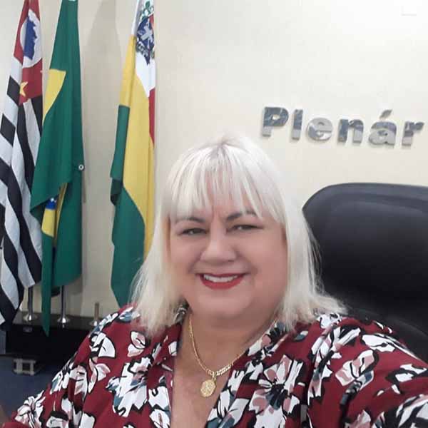 Neide Teodoro apaga velinhas neste domingo