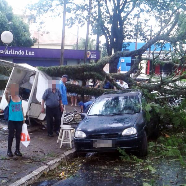 Rápida ventania causa estragos em vários pontos de Assis