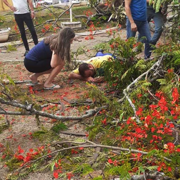 Carteiro fica ferido após ser atingido por árvore em Quatá