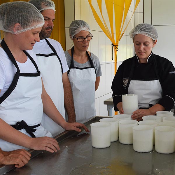 Búfalas São João realiza 2º Curso de Mozzarella de Búfala Artesanal