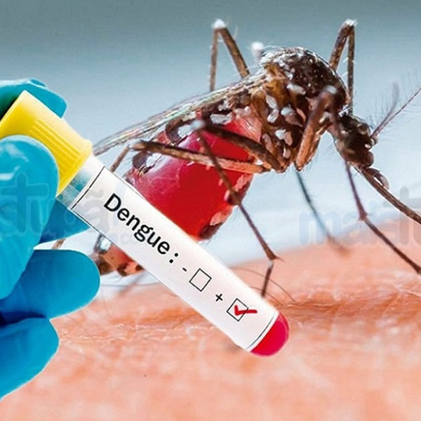 Maracaí registra 60 casos de dengue só em janeiro e preocupa autoridades