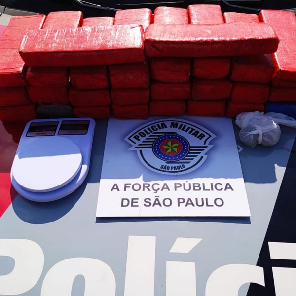 Polícia encontra mais de 20 tijolos de maconha dentro de geladeira em Assis