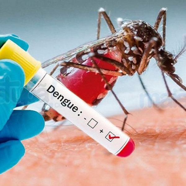 Em fevereiro, já são 53 casos suspeitos de dengue em Paraguaçu Paulista