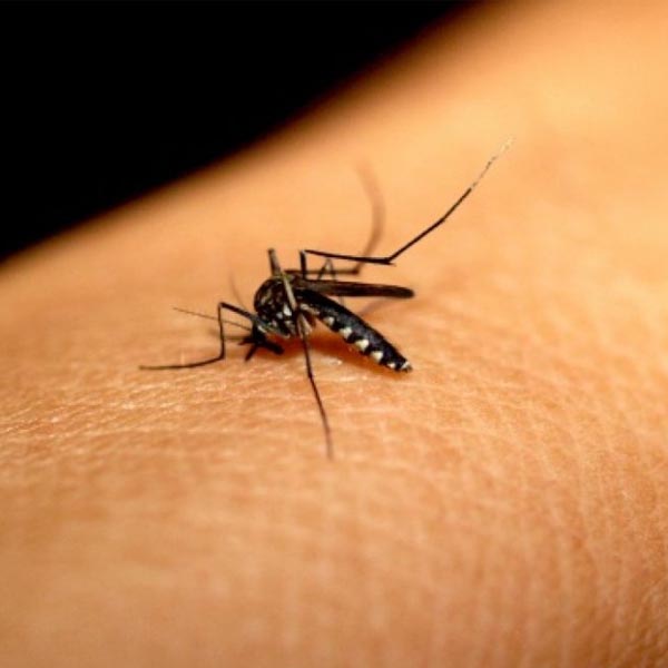 Jovem de 23 anos morre com suspeita de dengue hemorrágica em Rancharia